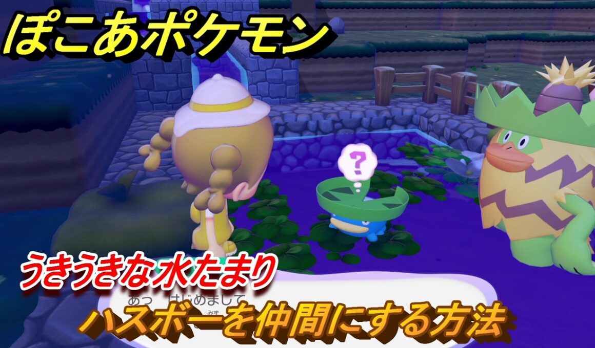 ぽこあポケモン　ハスボーを仲間にする方法　うきうきな水たまり　＃１４２　【ぽこポケ】
