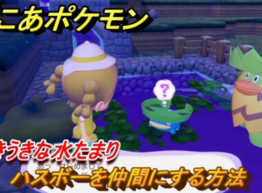 ぽこあポケモン　ハスボーを仲間にする方法　うきうきな水たまり　＃１４２　【ぽこポケ】