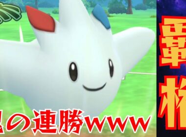 【白い悪魔】俺的最強パーティを引き先トゲキッスにアレンジ！！可愛い顔して性能が鬼すぎるwww【GBL】【ジャングルカップ】