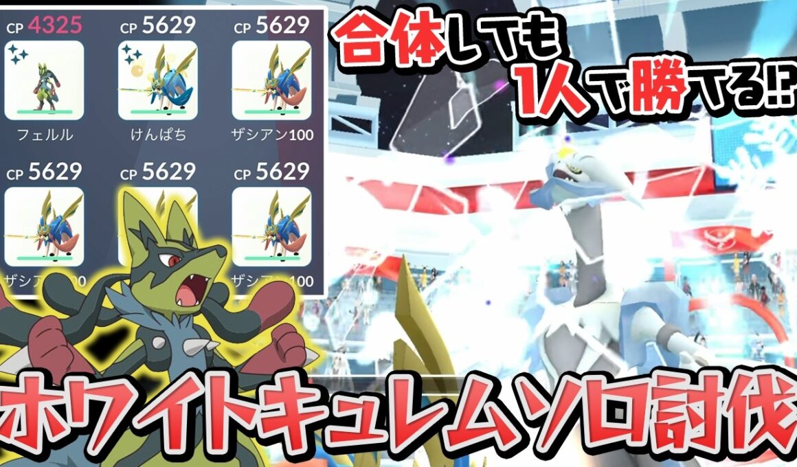 実は先月にホワイトキュレム1人討伐やってました…【ポケモンGO】
