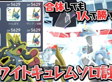 実は先月にホワイトキュレム1人討伐やってました…【ポケモンGO】