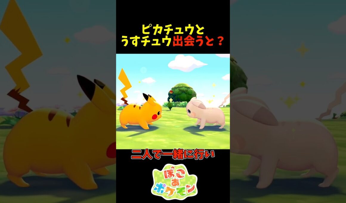 【ぽこあポケモン】うすチュウとピカチュウが出会うと？
