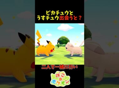 【ぽこあポケモン】うすチュウとピカチュウが出会うと？