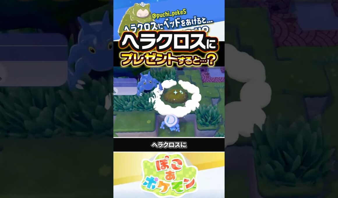 【ガチで不仲】ヘラクロスにベッドをプレゼントすると…？？？ #ぽこあポケモン #ポケモン #ぽこポケ
