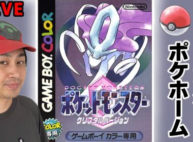 ポケットモンスターSVで証付き激レアさじんの模様ビビヨン厳選