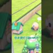 ショート13【ぽこあポケモン】モクロー時計とモクローが出会うと