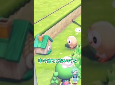 ショート13【ぽこあポケモン】モクロー時計とモクローが出会うと