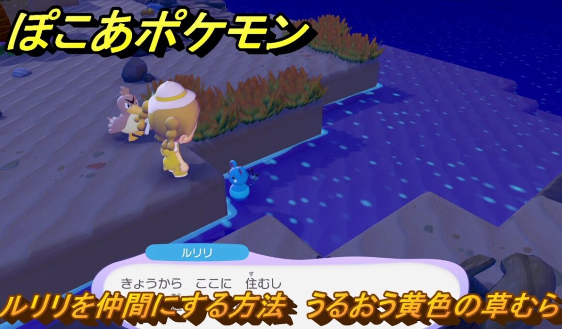 ぽこあポケモン　ルリリを仲間にする方法　うるおう黄色の草むら　＃６２　【ぽこポケ】