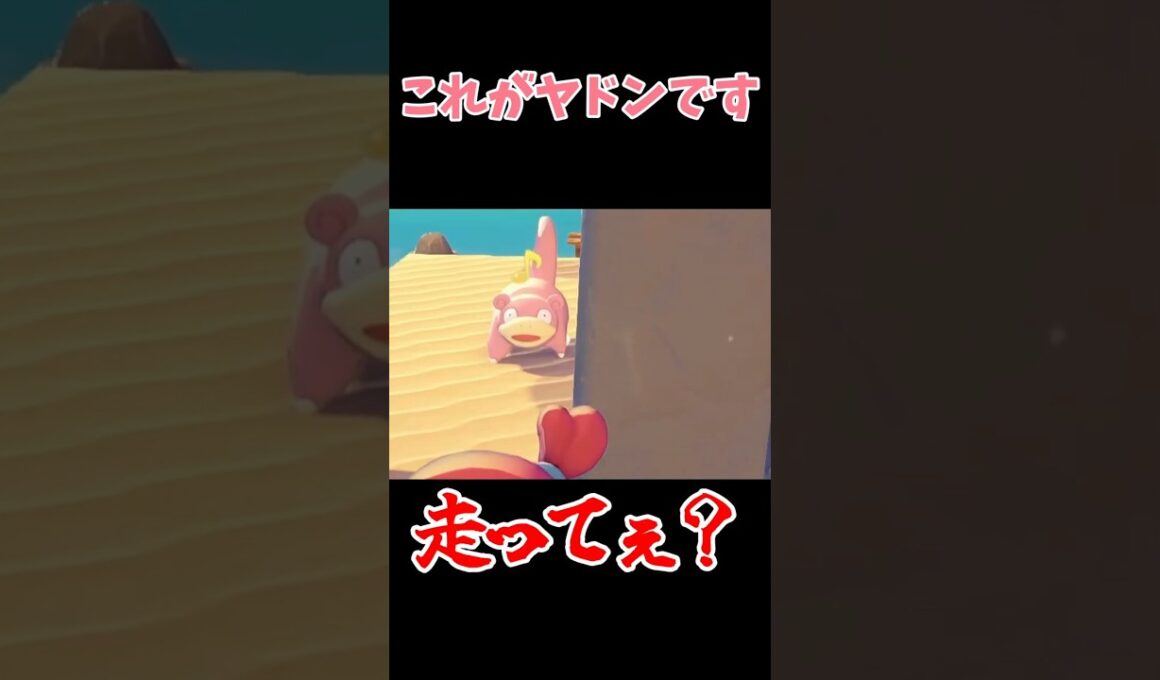 これがヤドンです #ゲーム実況#ぽこあポケモン #ぽこポケ #shorts