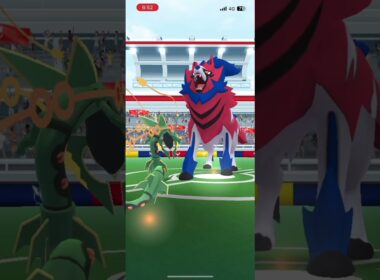 ザマゼンタ2人討伐チームパワーなし#ポケモンgo #ポケモンgo好きな人と繋がりたい #pokemongo #ザマゼンタ