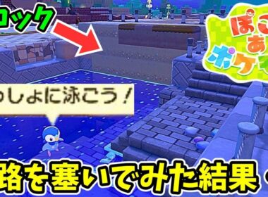 ポッチャマの泳ぎを物理的に止めてみたら衝撃的な結果に！？【ぽこあポケモン】