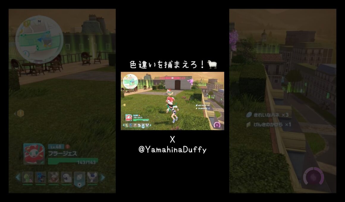 色違いメリープとそれを保護するポッポ🐑⚡️🕊️#ポッポ #メリープ#ポケモンza