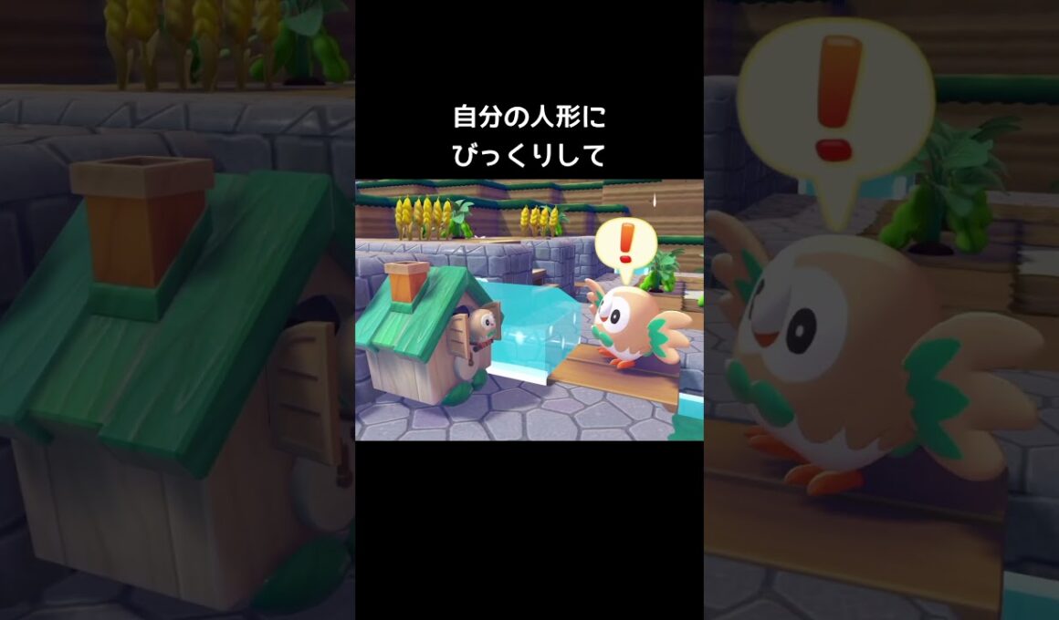 モクロー時計をモクローが見つけると【ぽこあポケモン】