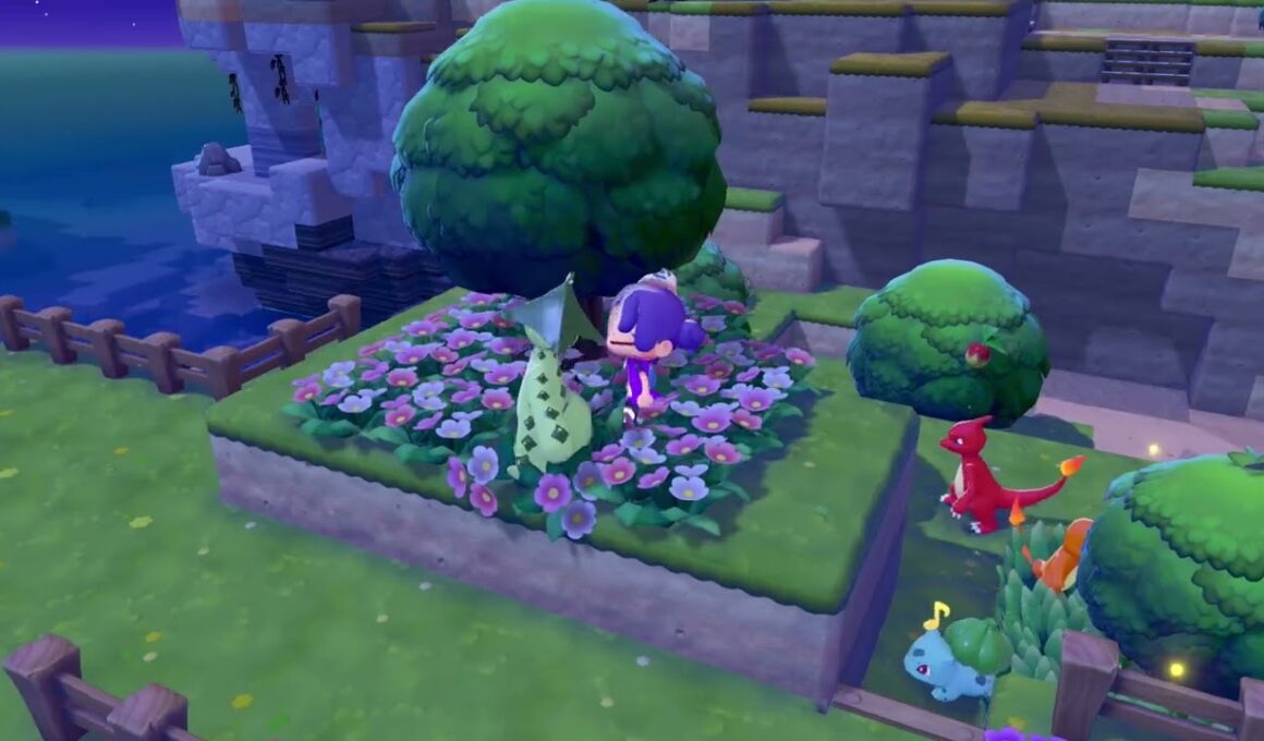 ノクタス発見💡/ぽこあポケモン