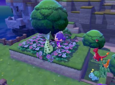 ノクタス発見💡/ぽこあポケモン