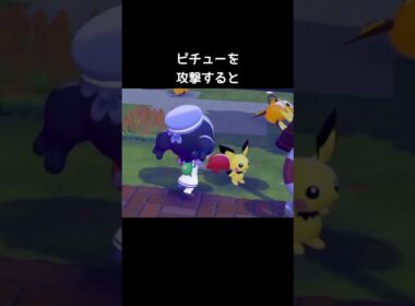 うすチュウを攻撃すると【ぽこあポケモン】#ピカチュウ#ピチュー#ライチュウ