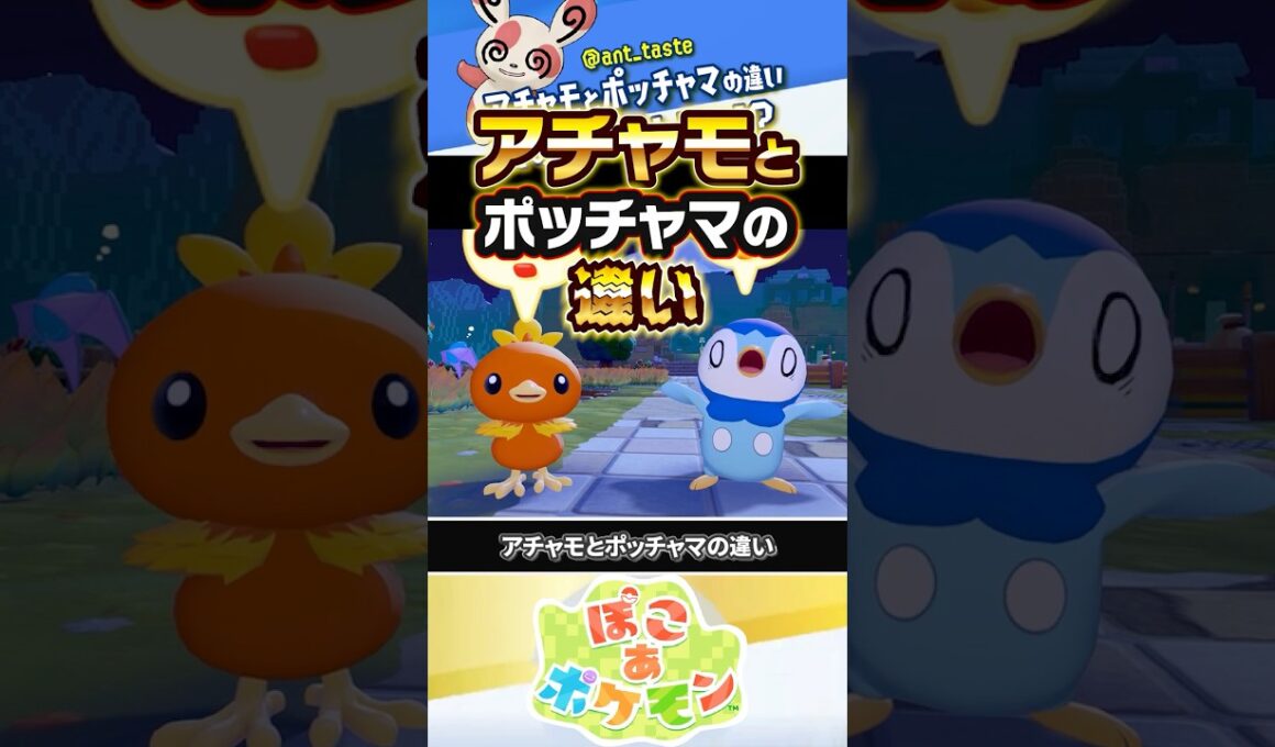 【温度差やばいwww】アチャモとポッチャマの違い #ぽこあポケモン #ポケモン #ぽこポケ
