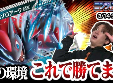 【ポケカ】使用率爆増中！？Nのゾロアークが環境に刺さり過ぎていると話題に【ひとくちポケカ解説】