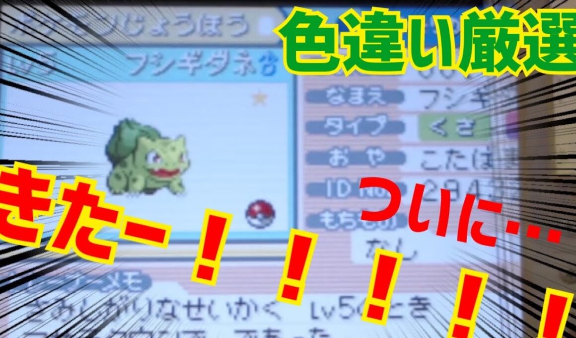 6日目【ポケモン ファイアレッド】ほんまにおる？　御三家ゼニガメ＆フシギダネ色違い厳選 switch2