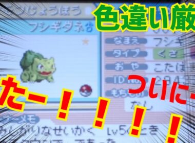 6日目【ポケモン ファイアレッド】ほんまにおる？　御三家ゼニガメ＆フシギダネ色違い厳選 switch2