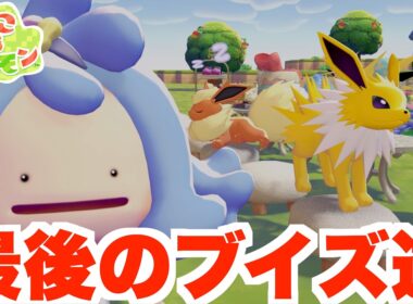 【ぽこあポケモン】イーブイのお願い事を叶えると・・・？イーブイズの難関の最後の2匹と友達に！【ぽこポケ】