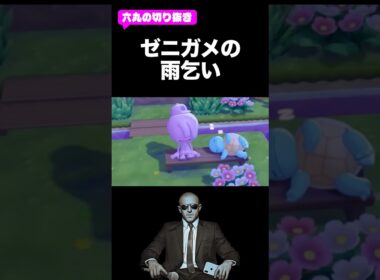 ゼニガメに雨乞い　#ぽこあポケモン #六丸