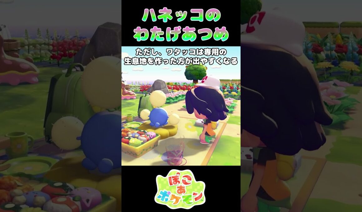 ハネッコのわたげあつめ #ぽこあポケモン #ポケモン #switch2 #shorts