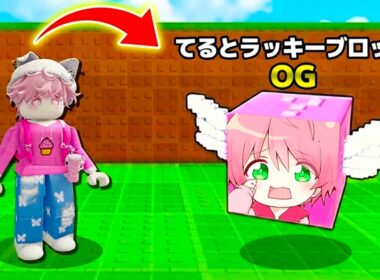 自分がラッキーブロックになるロブロックスがやばい..【ROBLOX】