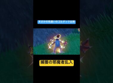 【ポケモンSV】色違いのゴルダック𝙛𝙚𝙖𝙩.クエスパトラ　#shorts
