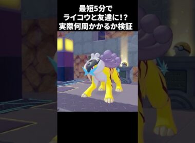 最短5分！？ライコウと友達になれるまでガチ周回したら何週かかるのか検証してみた【 #ぽこあポケモン】