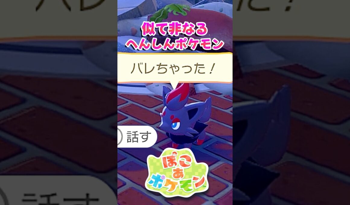 【ぽこポケ】似てるけど実は違う!? メタモンのへんしんとゾロアのイリュージョン【切り抜き】 【ぽこあポケモン】#short