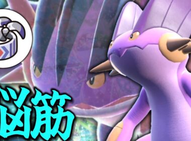 メガラグラージに憧れてハチマキを持つラグラージ。その強さは如何に。【ゆっくり実況】【ポケモンSV】