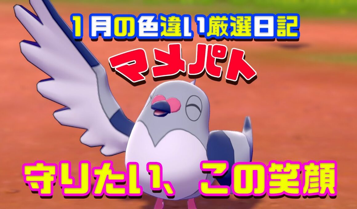 【色違い孵化日記】鳥恐怖症も克服する可愛さ【マメパト厳選】