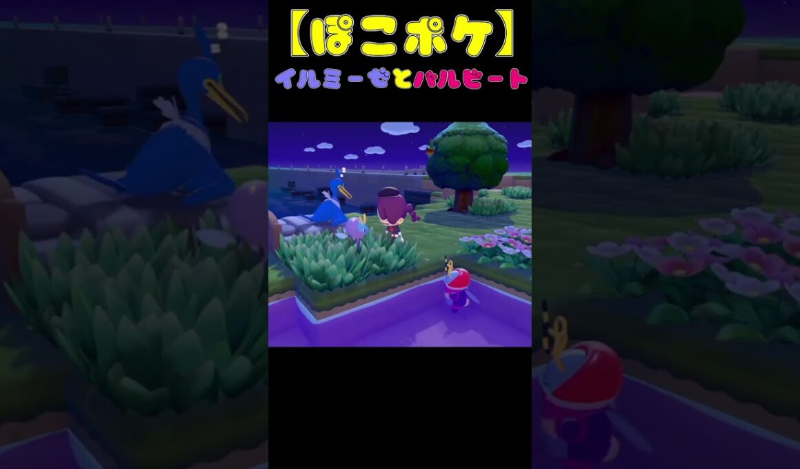 【ぽこポケ】イルミーゼとバルビートの会話♪#ぽこポケ #shorts  #ぽこあポケモン