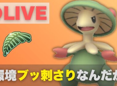 【ジャングルカップ】キノガッサが刺さりすぎて、まさかの10勝5敗！【ポケモンGO・GOバトルリーグ】