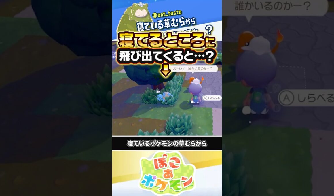 【心が広い】ゼニガメが寝ている草むらからポケモンが飛び出てくると…？？？ #ぽこあポケモン #ポケモン #ぽこポケ