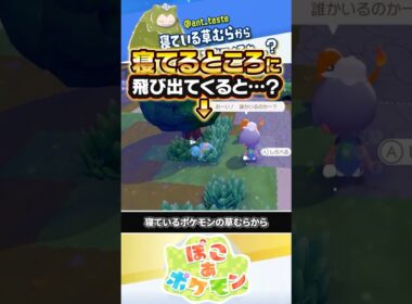【心が広い】ゼニガメが寝ている草むらからポケモンが飛び出てくると…？？？ #ぽこあポケモン #ポケモン #ぽこポケ