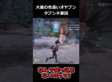大量の色違いオヤブンタブンネ軍団!! #ポケモンレジェンズZA  #shorts #switch2 #M次元ラッシュ