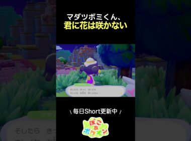 マダツボミ、君に花は咲かなんだよ #ぽこあポケモン #pokemonpokopia