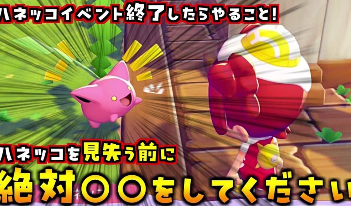 必ず確認して！ハネッコイベント終了したらハネッコ見失う前にやるべきことをまとめました！【ぽこあポケモン ぽこポケ 初心者向け攻略】