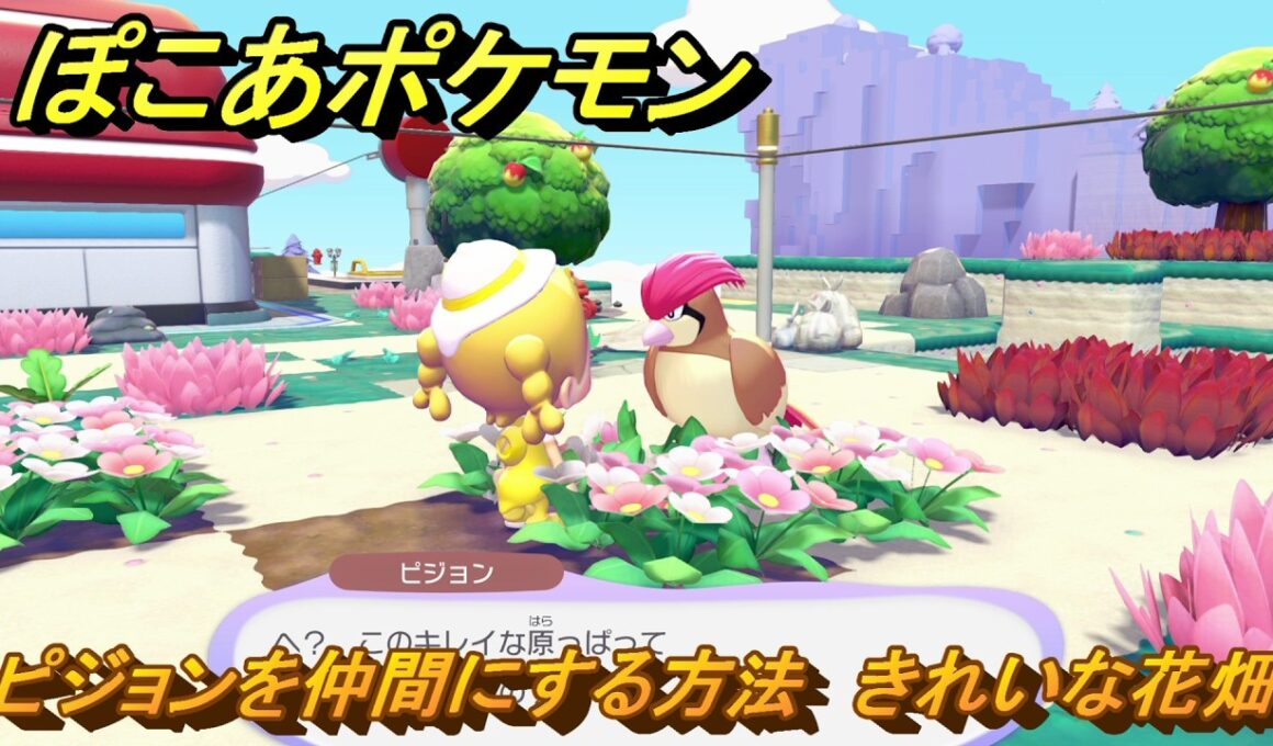 ぽこあポケモン　ピジョンを仲間にする方法　きれいな花畑　＃２３０　【ぽこポケ】