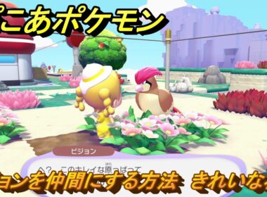 ぽこあポケモン　ピジョンを仲間にする方法　きれいな花畑　＃２３０　【ぽこポケ】