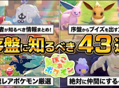 【ぽこあポケモン】初心者が知るべき攻略情報43選。爆速で厳選、絶対仲間にするべきポケモン、生息地、環境レベル（すみごこち）、イーブイ、ヤドン
