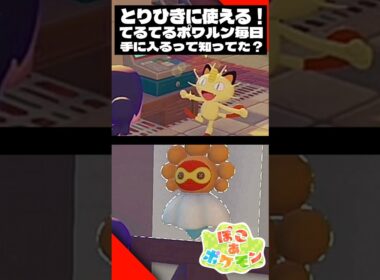【便利な小ネタ】とりひきに使えるてるてるポワルン！毎日●●で入手可能【ぽこあポケモン】