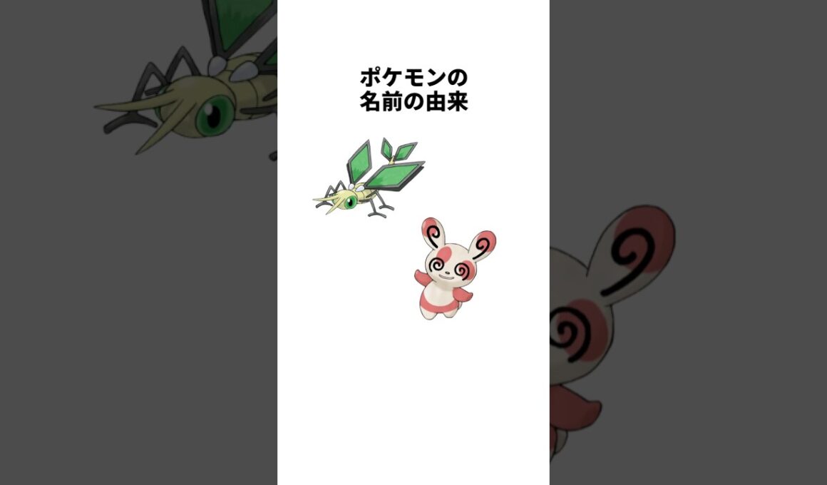 パッチールの名前の由来は…ポケモンの名前の由来