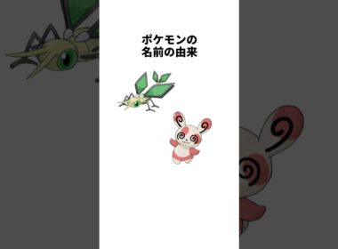 パッチールの名前の由来は…ポケモンの名前の由来