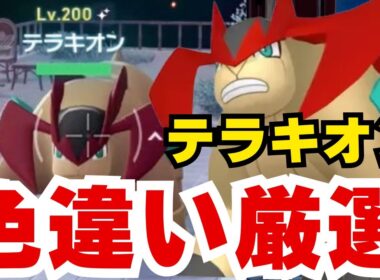 【ポケモンZA】5分で出た！準伝説テラキオン色違い厳選方法【メガ次元ラッシュ】