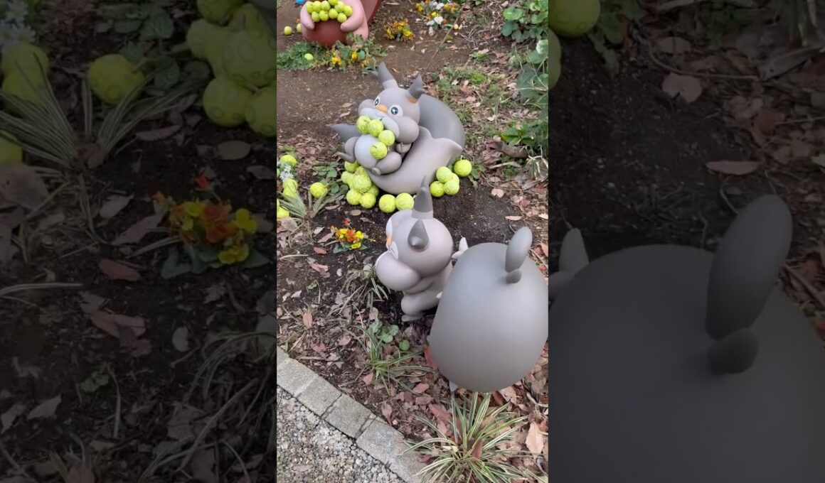 ホシガリスきゅうけいじょ #ポケパーク #ポケモン #pokemon #shorts #ホシガリス #ヨクバリス #オニドリル #ムックル