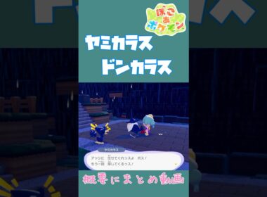 ヤミカラス×ドンカラス ほっこり固有会話【ぽこあポケモン】