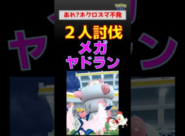 ネクロズマ明暗！【メガヤドラン！2人討伐】あかつき無双 vs たそがれ苦戦…サーフゴーが救世主に？【ポケモンGO】